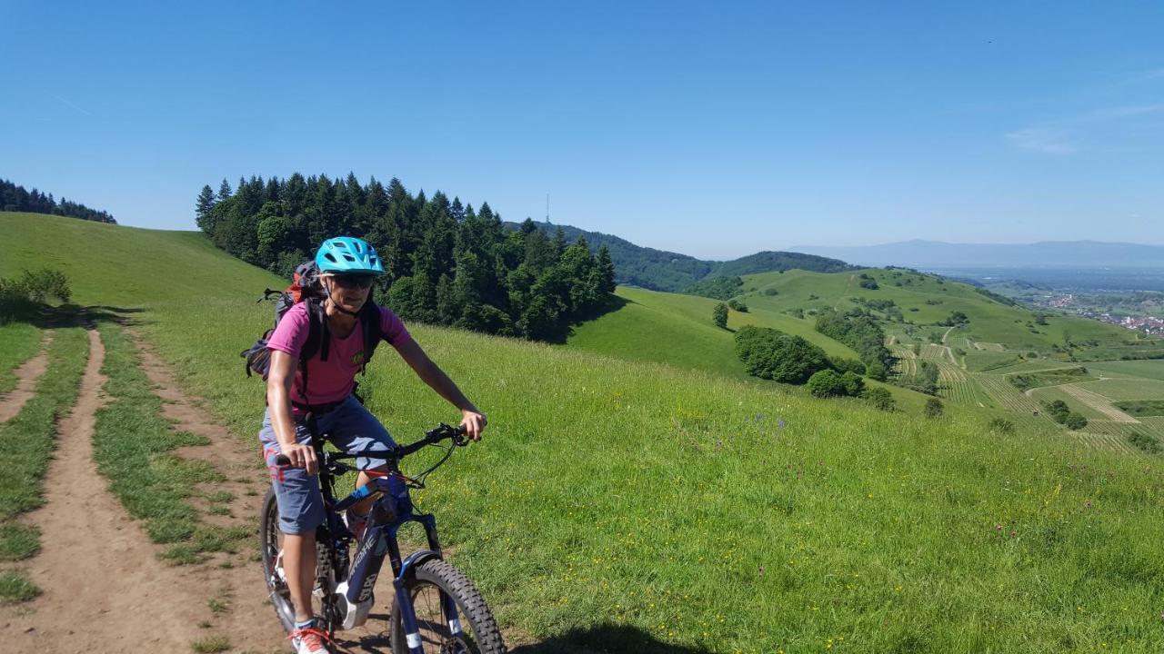 Gaestehaus Casa Luna - Paradiesische Ferienwohnungen Am Kaiserstuhl! Bischoffingen エクステリア 写真