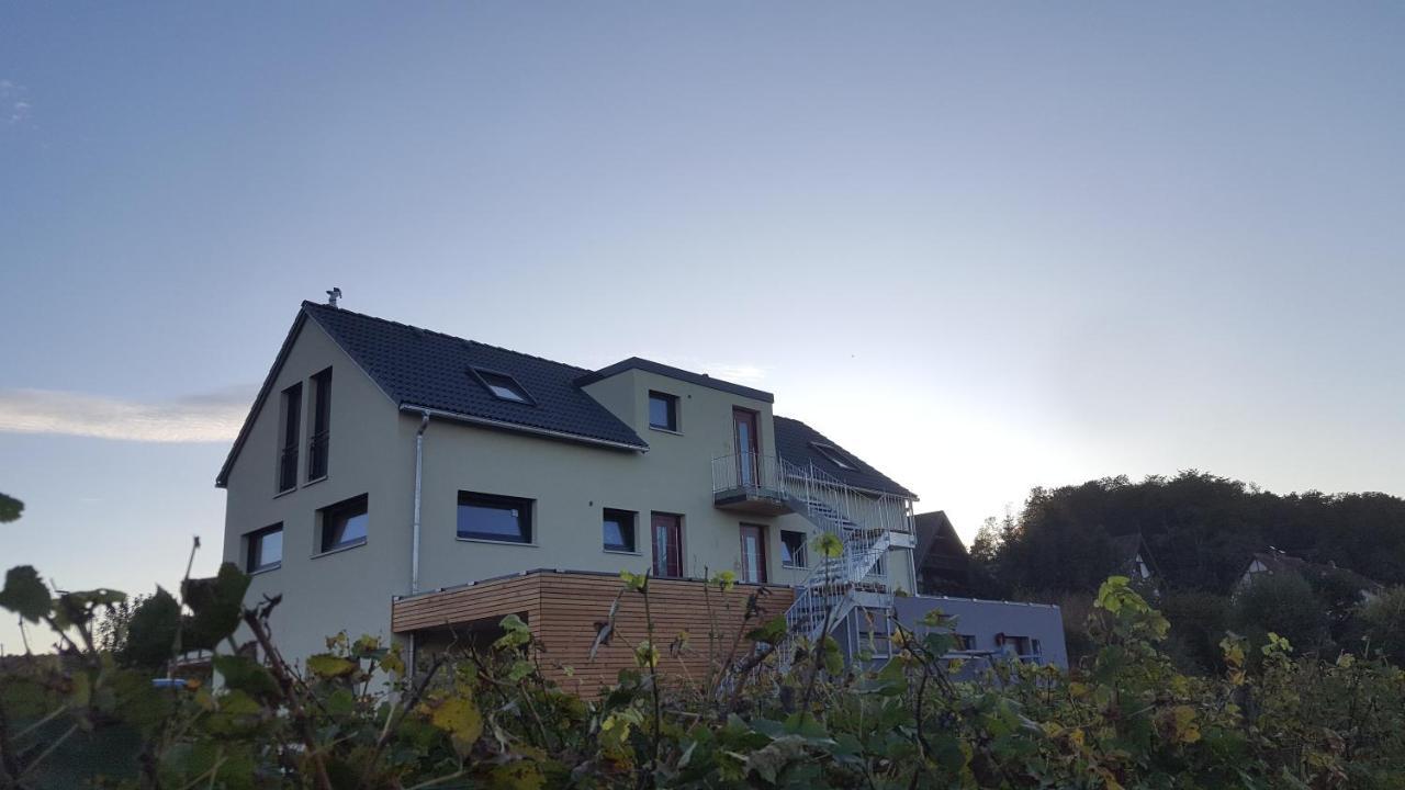 Gaestehaus Casa Luna - Paradiesische Ferienwohnungen Am Kaiserstuhl! Bischoffingen エクステリア 写真