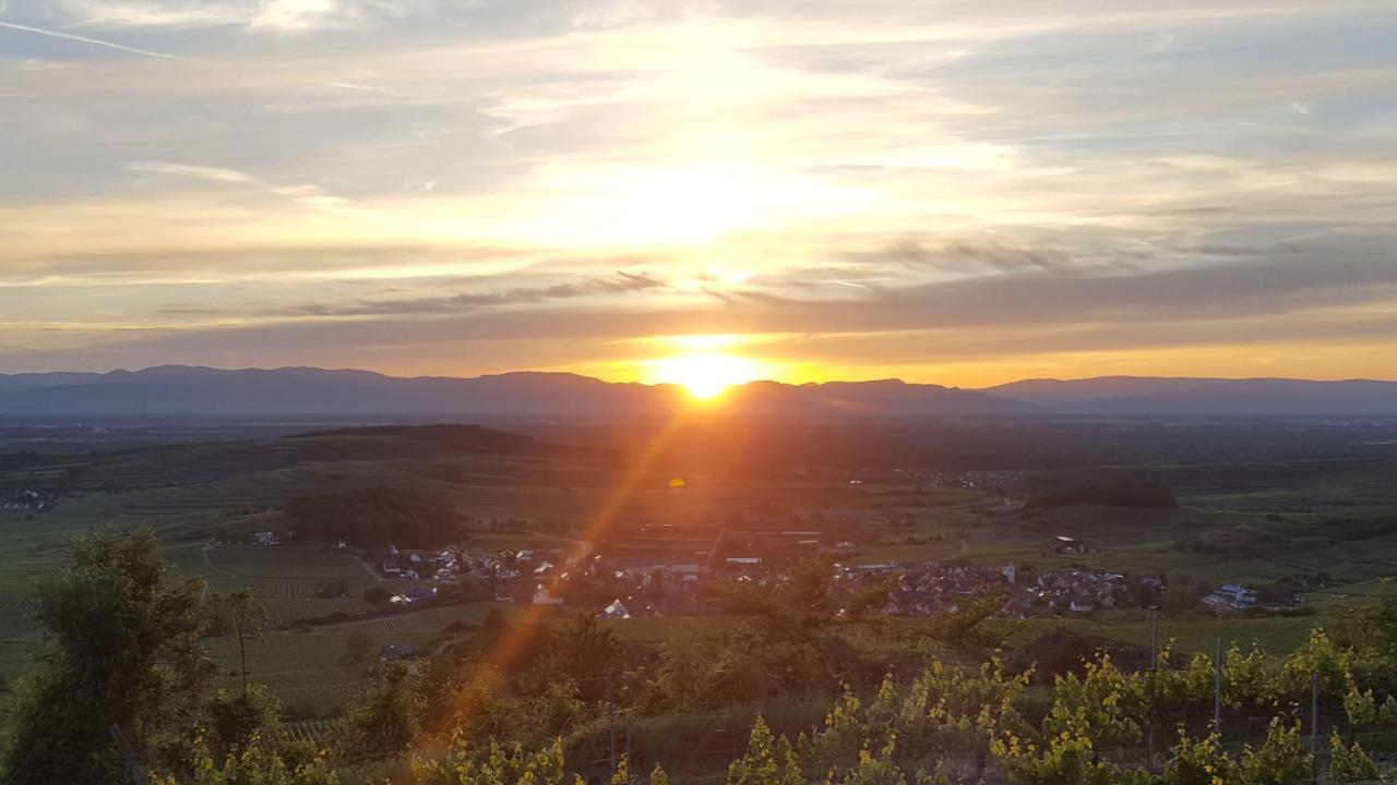 Gaestehaus Casa Luna - Paradiesische Ferienwohnungen Am Kaiserstuhl! Bischoffingen エクステリア 写真