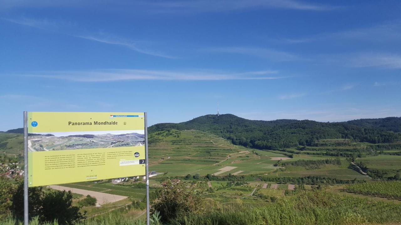 Gaestehaus Casa Luna - Paradiesische Ferienwohnungen Am Kaiserstuhl! Bischoffingen エクステリア 写真
