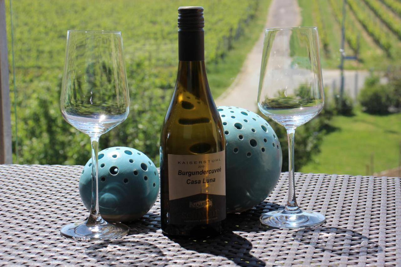 Gaestehaus Casa Luna - Paradiesische Ferienwohnungen Am Kaiserstuhl! Bischoffingen エクステリア 写真