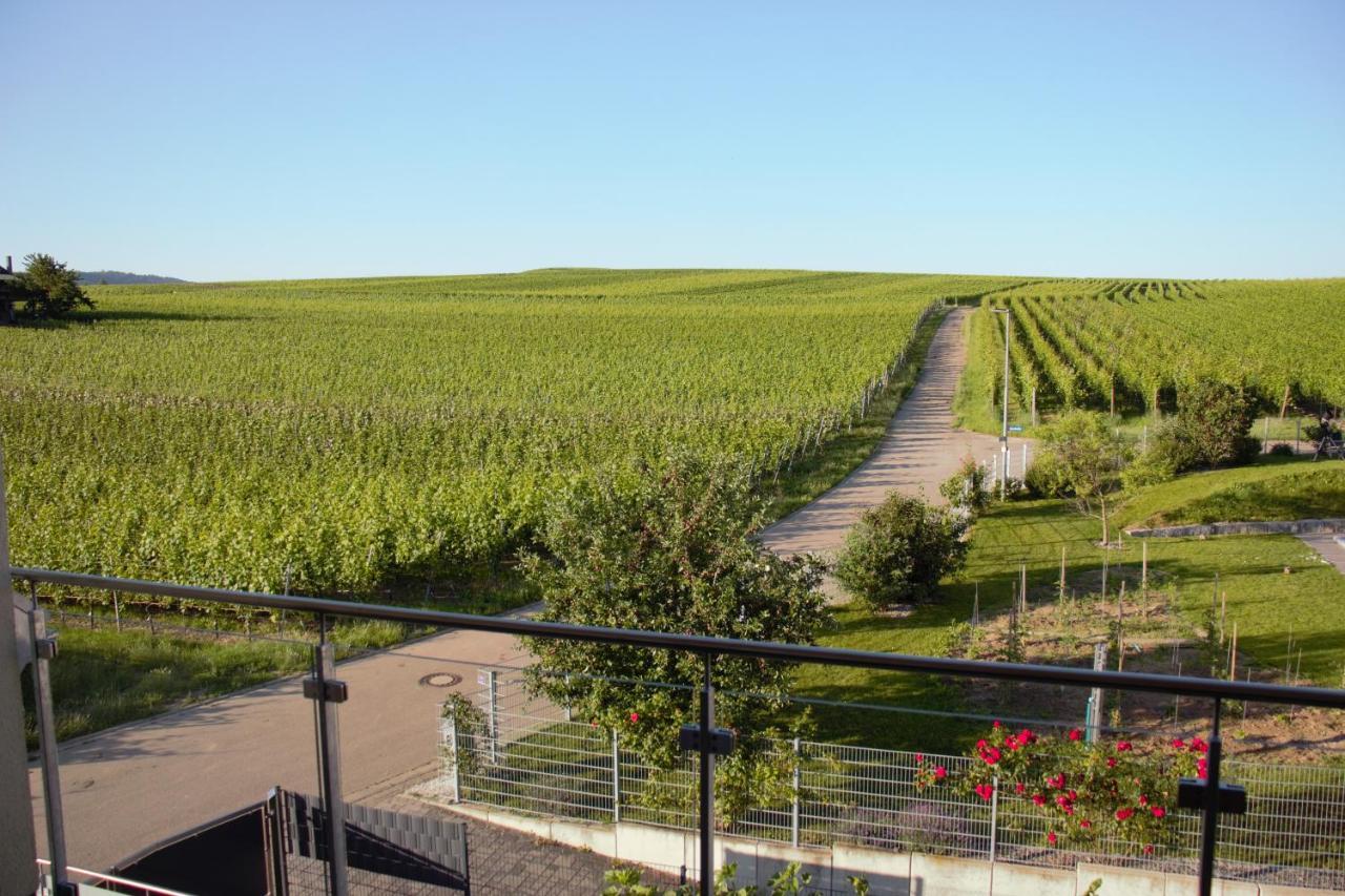 Gaestehaus Casa Luna - Paradiesische Ferienwohnungen Am Kaiserstuhl! Bischoffingen エクステリア 写真