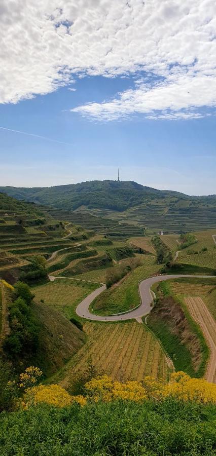 Gaestehaus Casa Luna - Paradiesische Ferienwohnungen Am Kaiserstuhl! Bischoffingen エクステリア 写真