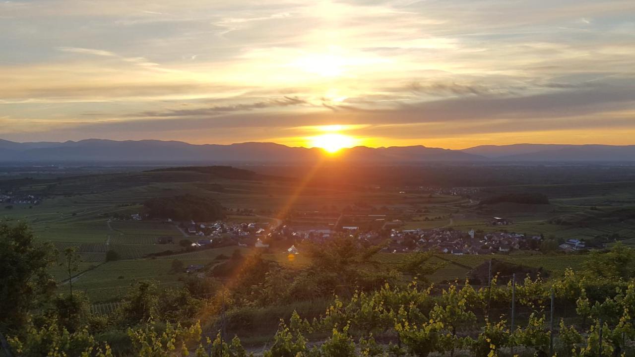 Gaestehaus Casa Luna - Paradiesische Ferienwohnungen Am Kaiserstuhl! Bischoffingen エクステリア 写真