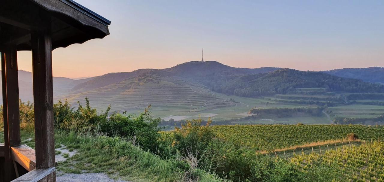 Gaestehaus Casa Luna - Paradiesische Ferienwohnungen Am Kaiserstuhl! Bischoffingen エクステリア 写真