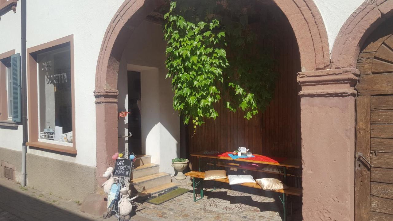 Gaestehaus Casa Luna - Paradiesische Ferienwohnungen Am Kaiserstuhl! Bischoffingen エクステリア 写真